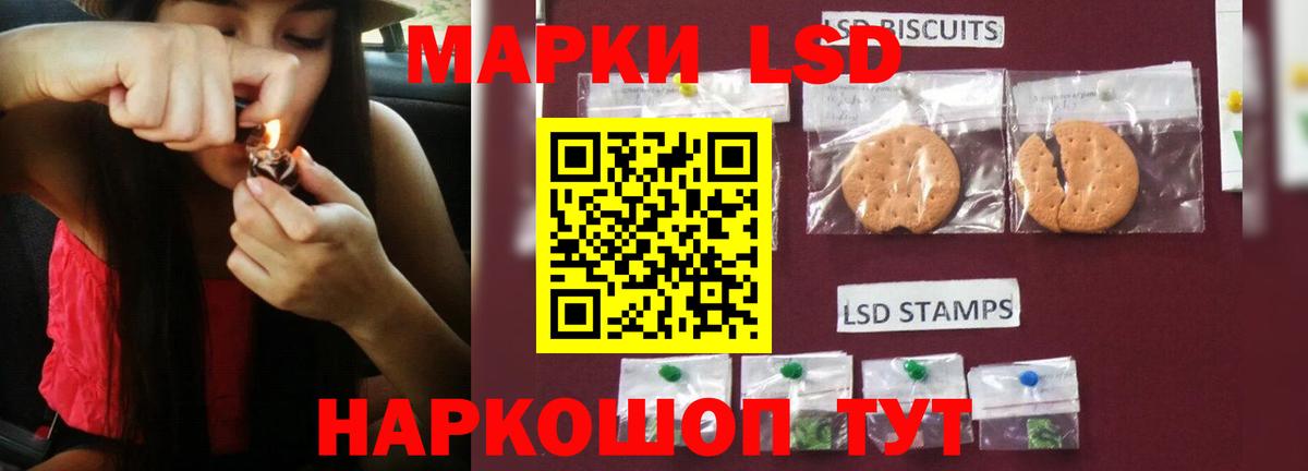 Кузнецк  Лсд 25 экстази кислота  Вход с VPN  ЛСД экстази кислота 