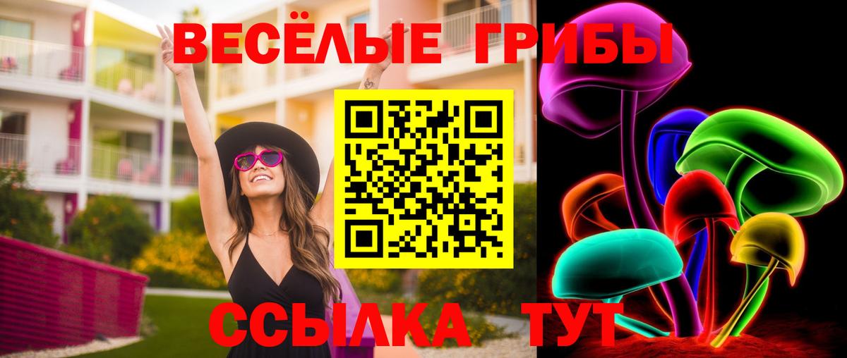 Кузнецк  Галлюциногенные грибы ЛСД  Вход с VPN 